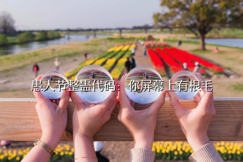 效果 效果